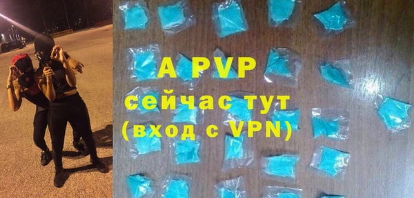 apvp Осташков