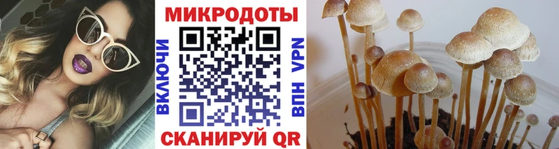 как найти закладки  Ардон  Псилоцибиновые грибы мухоморы 